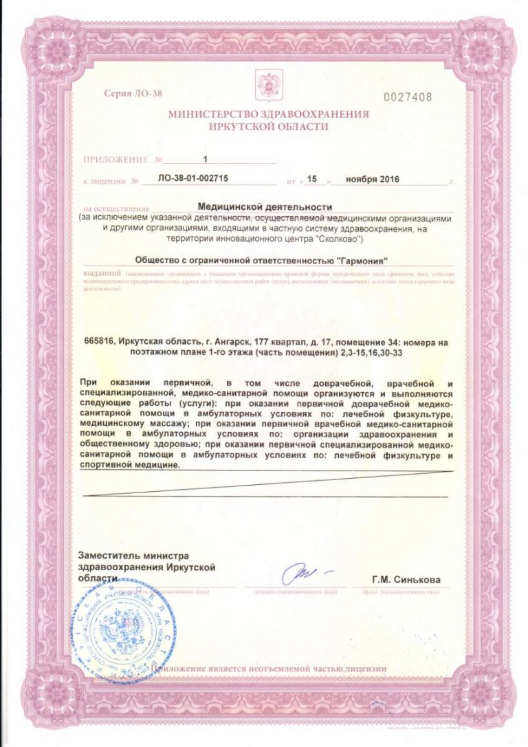 ЛицензАнгар3 (3)